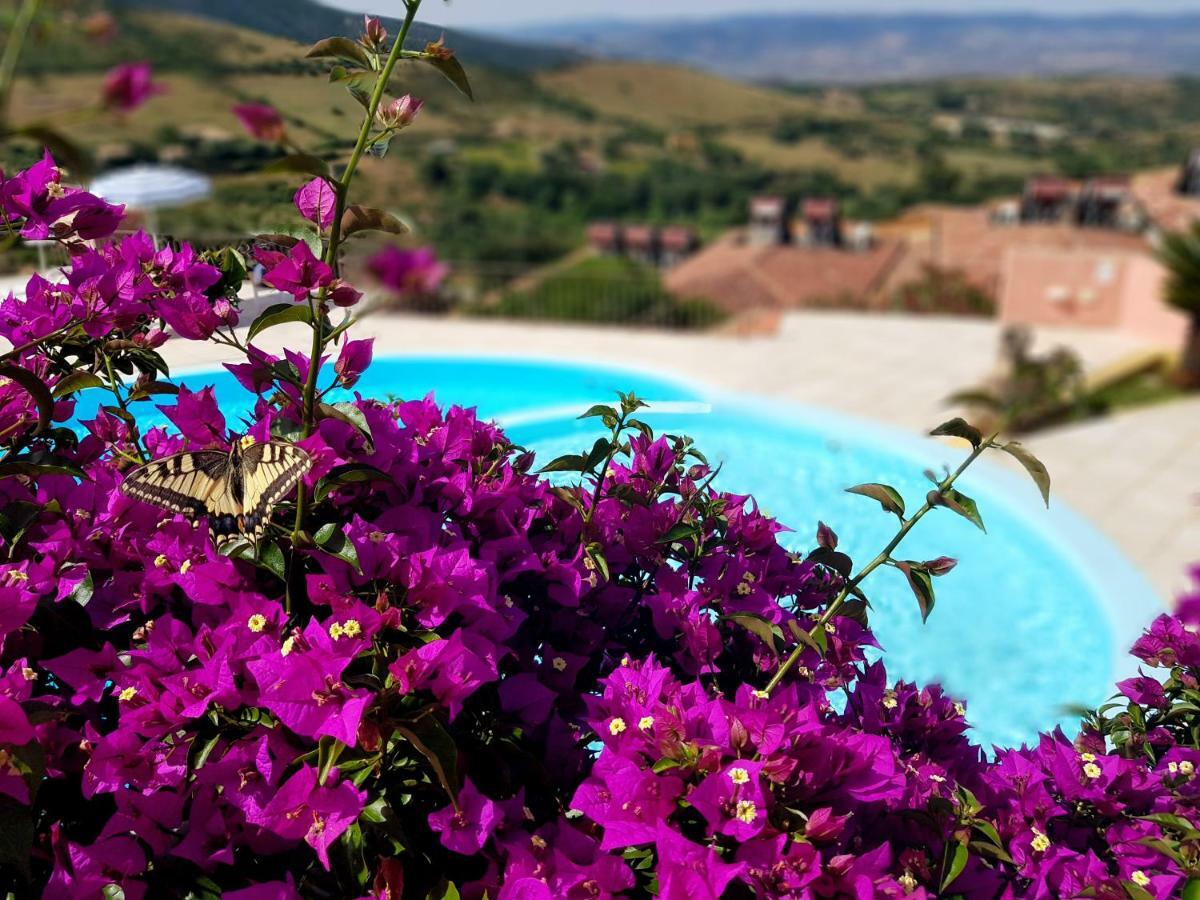 Residence Pala Stiddata With Panoramic Swimming Pool Trinità dʼAgultu Eksteriør bilde